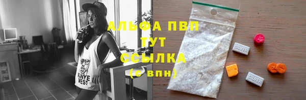 хмурый Зеленокумск