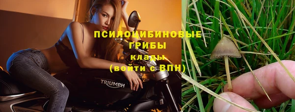 spice Зерноград