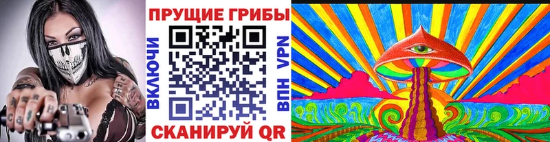Галлюциногенные грибы GOLDEN TEACHER  Магадан 